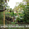 කාර්යාලයීය ගෙවත්ත